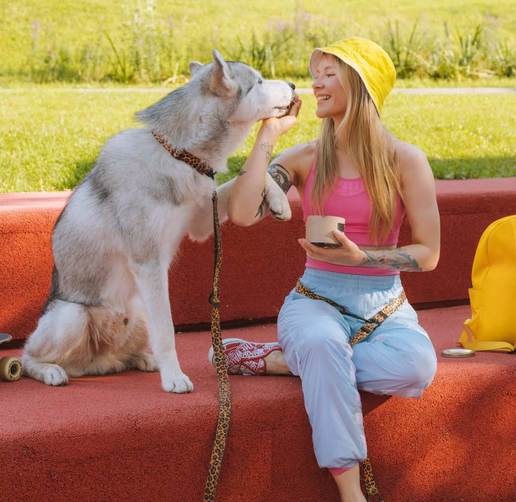 The Dog carriers that look like purses