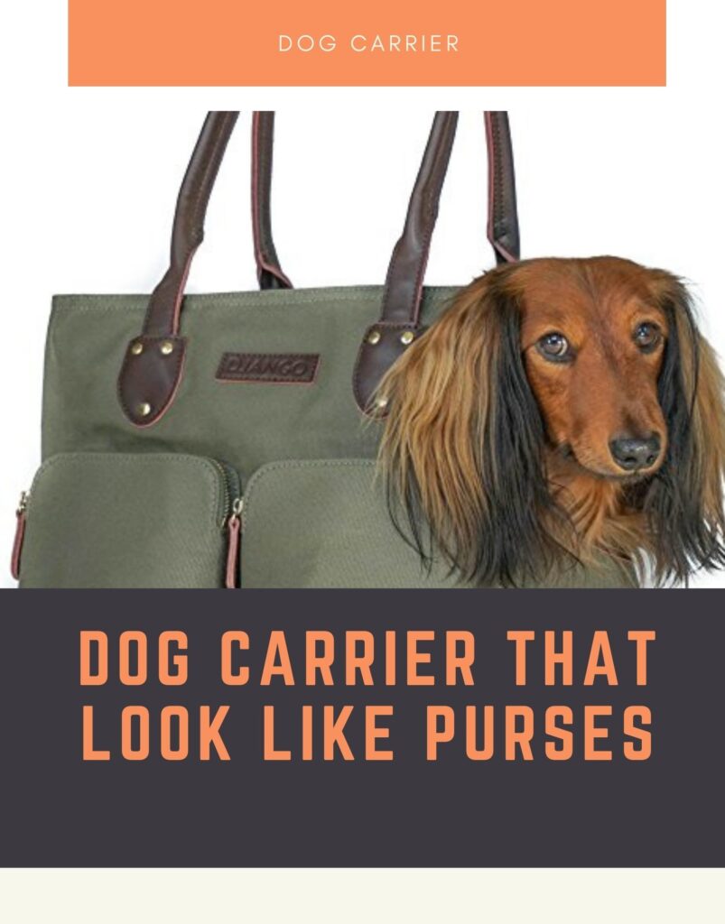 Dog carriers that look like purses