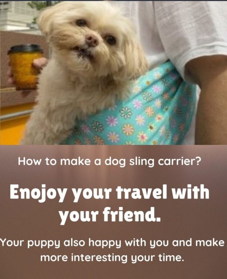 How To Make A Dog Sling Carrier? Informative Process