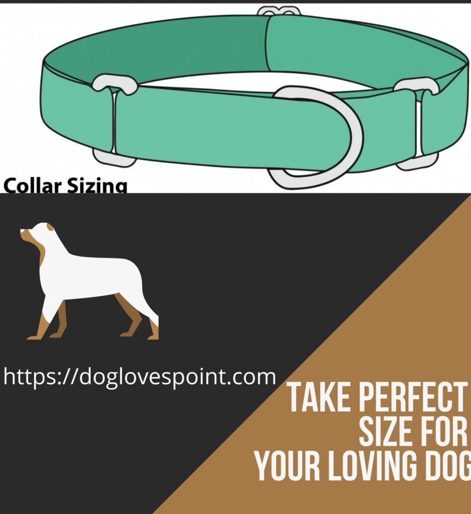 Dog collar sizes