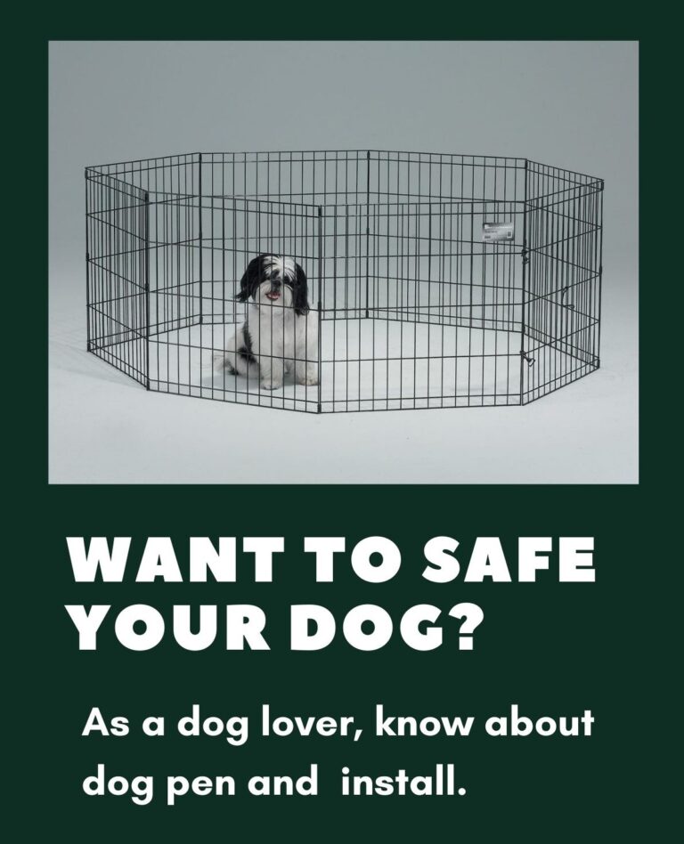 What Is The Meaning Of Dog Pen Or Kennels For Your Dog's Safety!