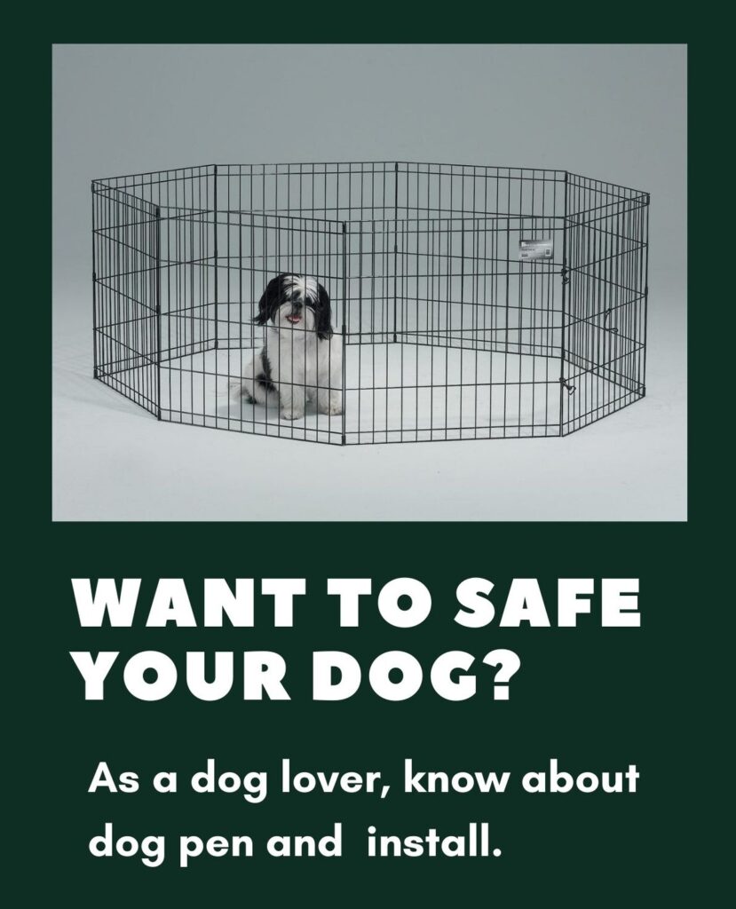 what is the meaning of dog pen