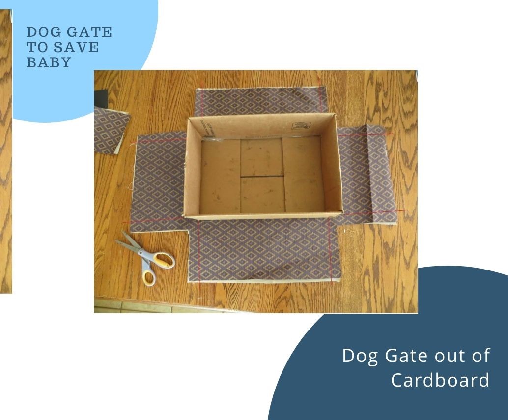 How To Make A Dog Gate Out Of Cardboard The Easiest DIY Solution