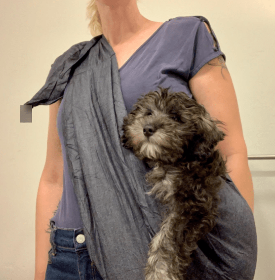 Alfie Pet - Chico 2.0 Reversible Pet Sling Carrier