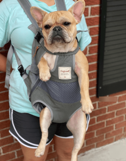 Coppthinktu Dog Carrier Backpack