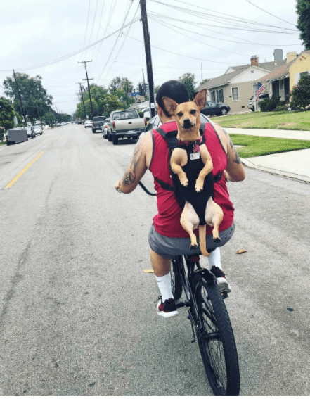 Pawaboo Pet Carrier Backpack