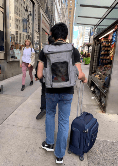 Ytonet Dog Backpack Carrier