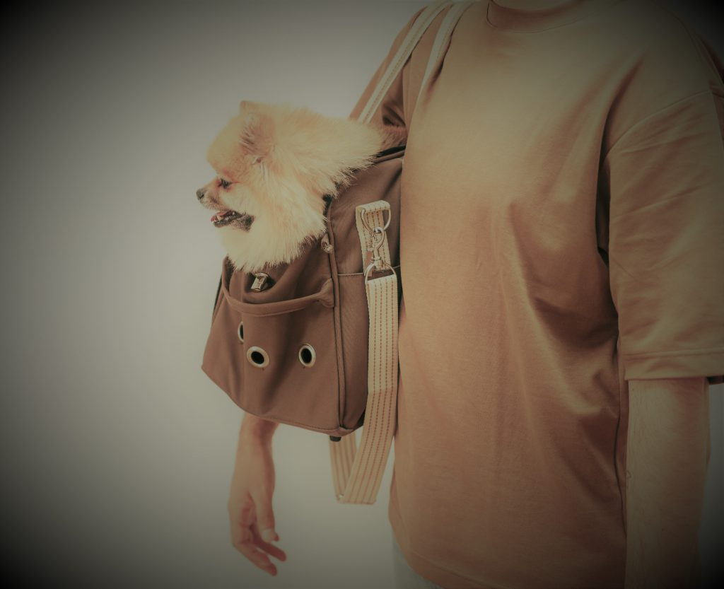 Ruffit Dog Carrier Review