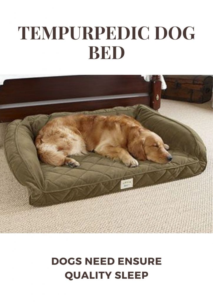 Tempurpedic Dog Bed Reviews