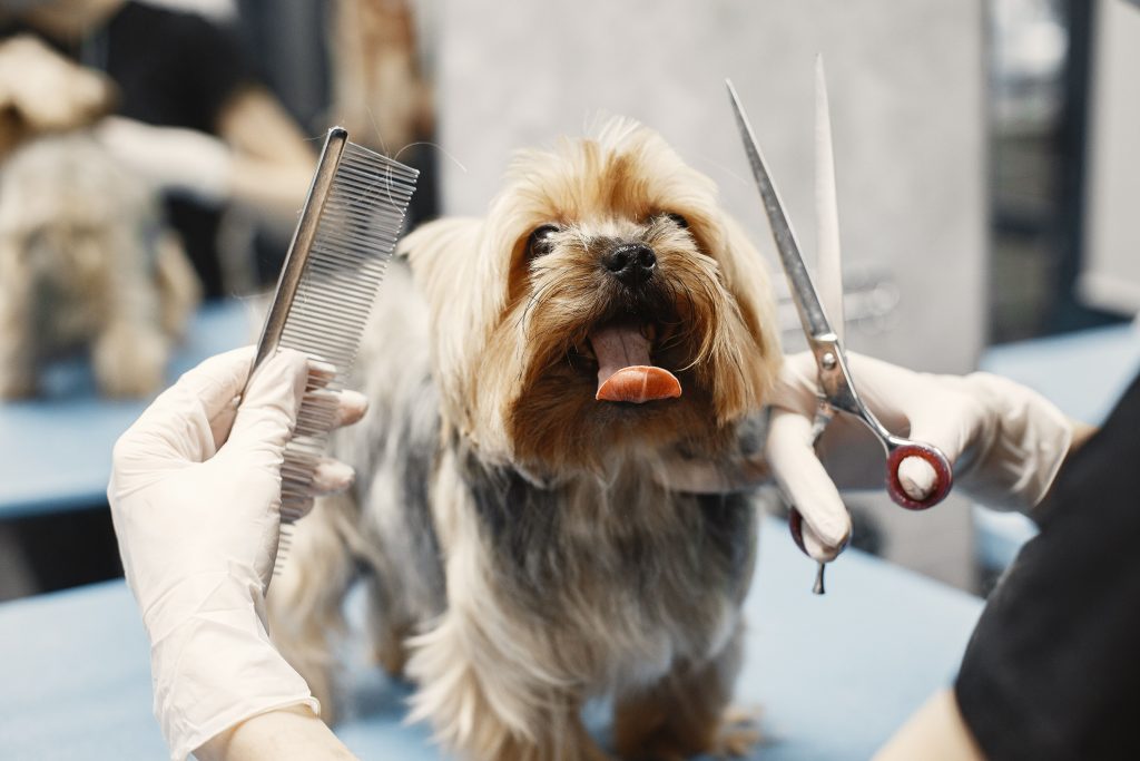 Dog Groomer Tip Calculator