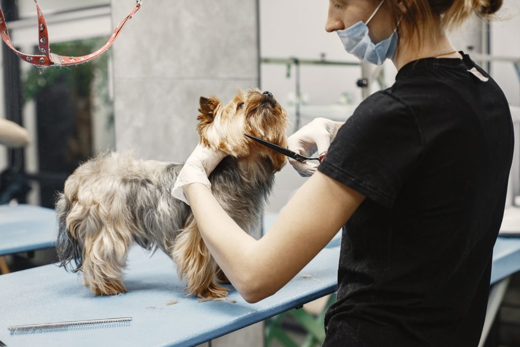 Dog Groomer Tips Calculator