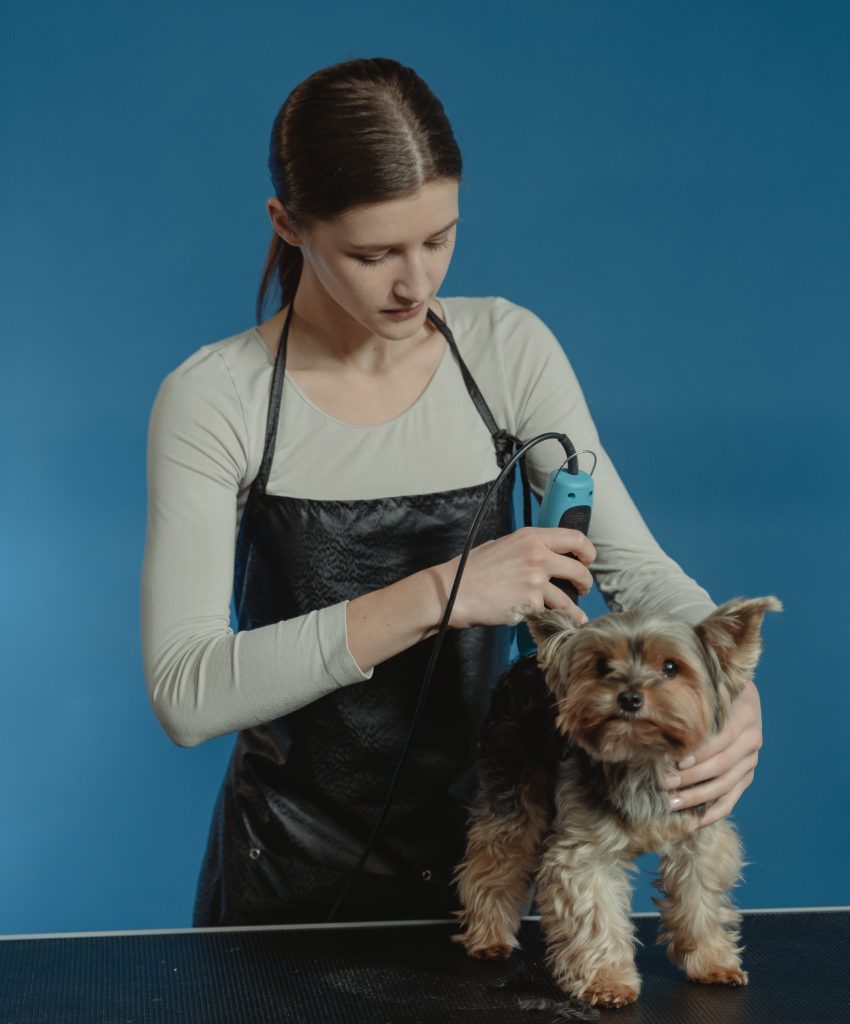 Best Waterproof Dog grooming Apron