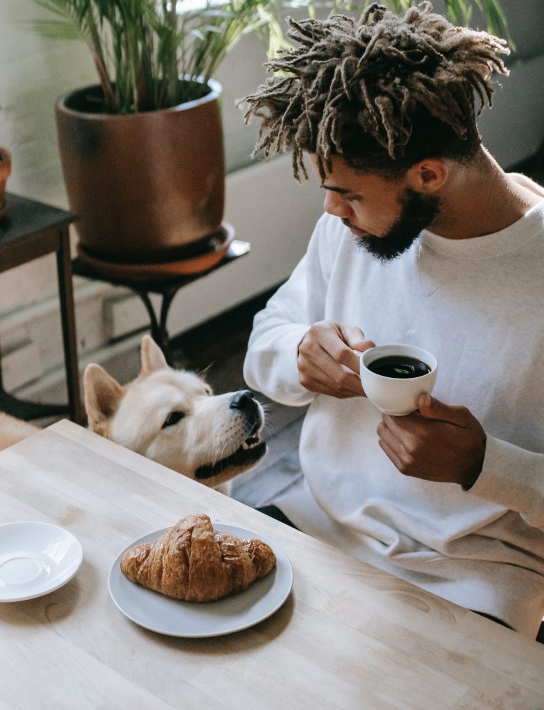Best White dog food names