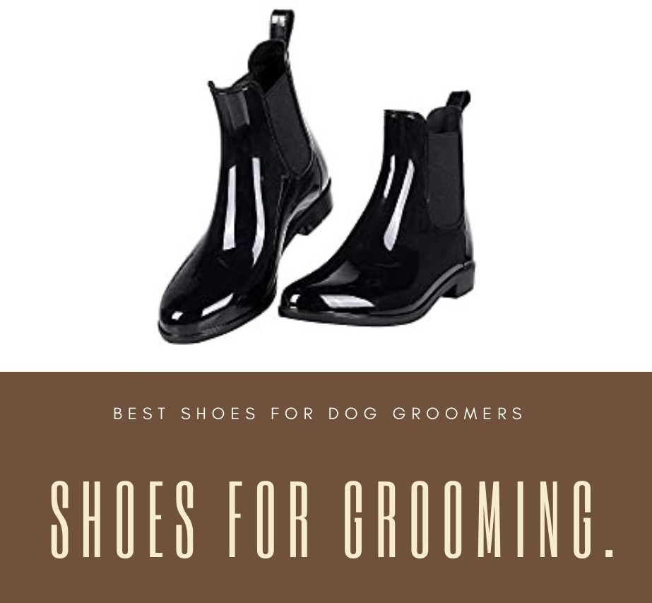 The 5 Researched Best Shoes for Dog Groomers (Your Pooch Will Thank You!)