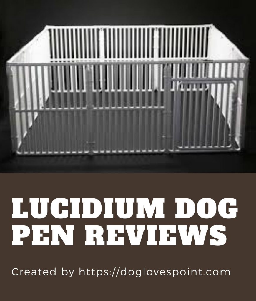 Lucidium Dog Pen Review