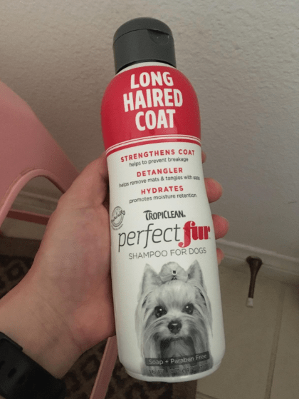 Best Shampoo for Huskies
